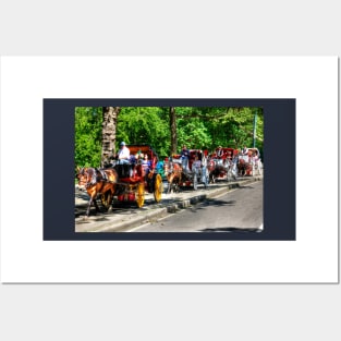 Central Park Carriage Ride Posters and Art